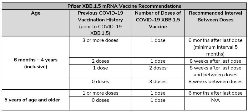 Pfizer XBB recommendations