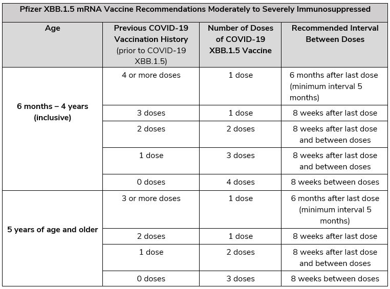 Pfizer XBB recommendations immunocompromised