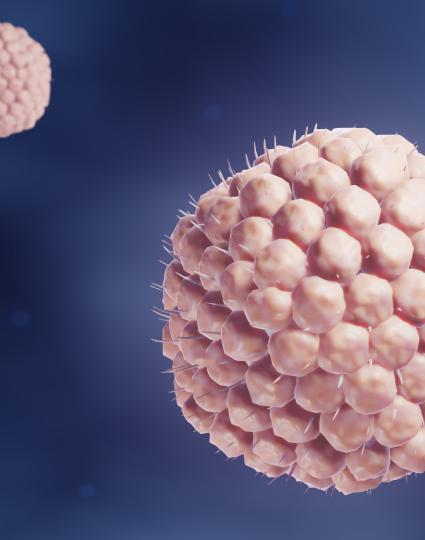 Photo of varicella virus