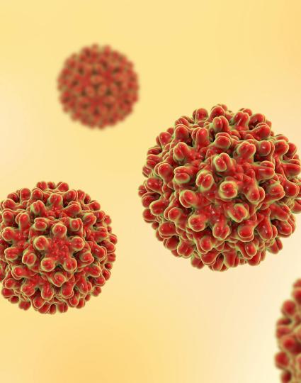 Hepatitis B virus